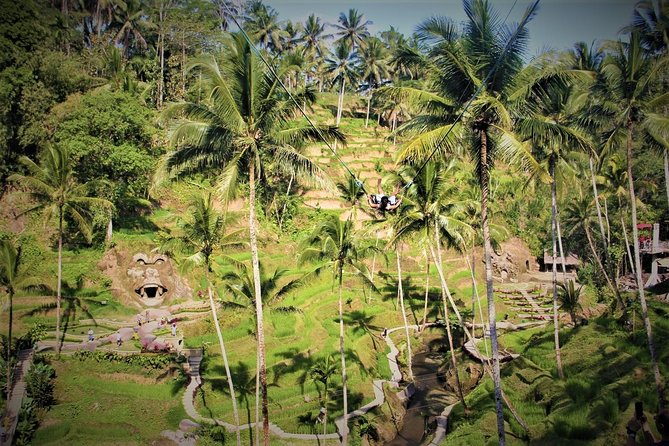 Bali Full Day Tour | Individual Route in Bali | Bali Guide | Free Wi-Fi - North and west Bali: mountain views and wide rice fields