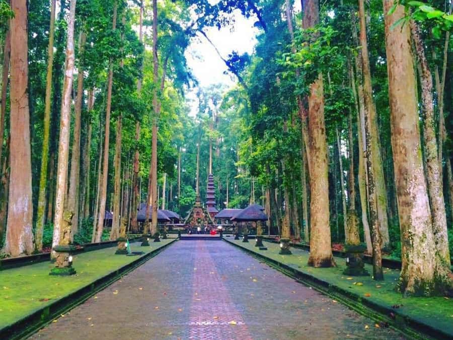 Bali: Full-Day Tour of Nungnung Waterfall, Tanah Lot Tample - Lunch in Badung keeps the day moving