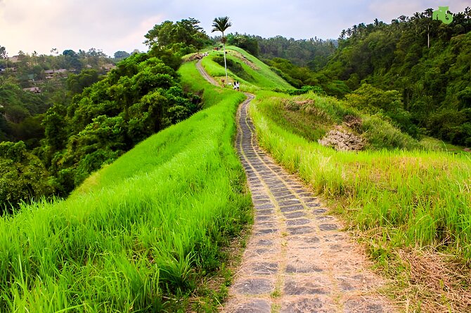 Bali Full Day-Tour: Ubud Sightseeing Trip - Meeting macaques at the Sacred Monkey Forest