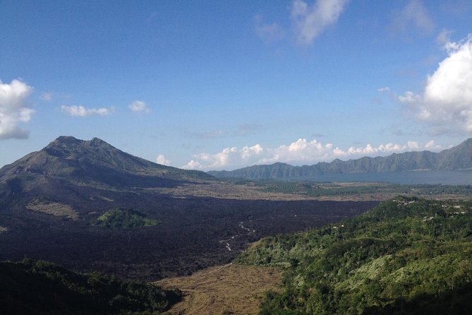 Bali Full-Day Traditional Village Sightseeing Trip All Inclusive - Batik, silver, and woodcarving near Ubud