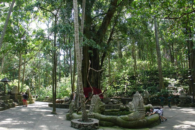 Bali Full-Day Traditional Village Sightseeing Trip All Inclusive - The coffee plantation and the Kopi Luwak question