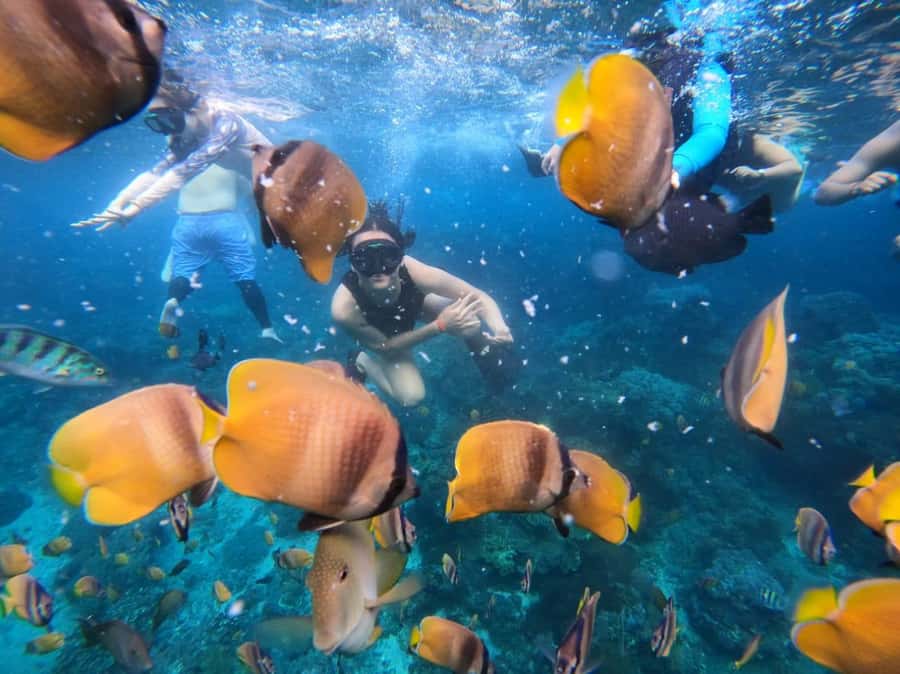 Bali Full Day Trip Fishing, Snorkeling,Eat in Candidasa - A long Candidasa day built around the sea