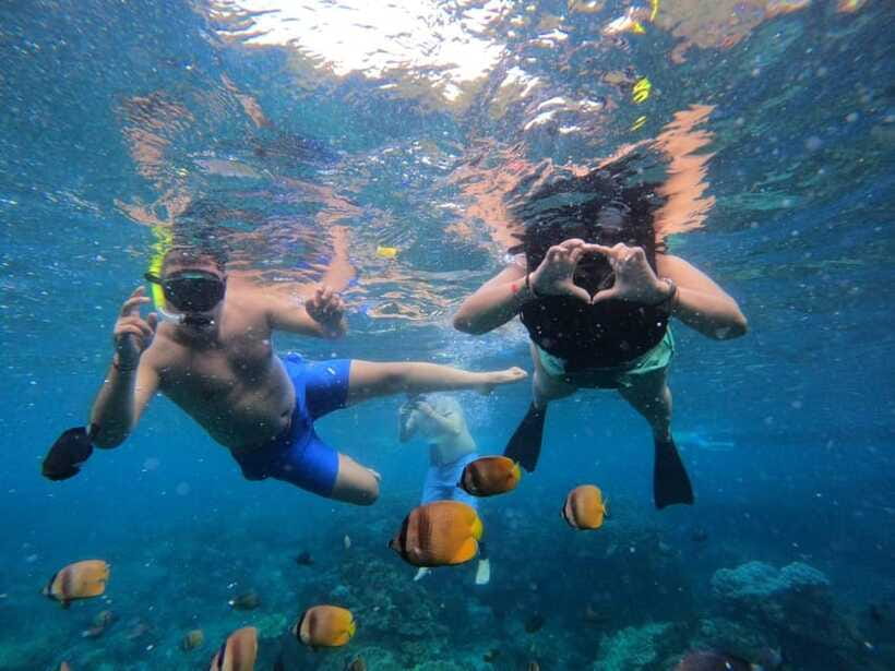 Bali Full Day Trip Fishing, Snorkeling,Eat in Candidasa - What $110 buys you, and where value can slip