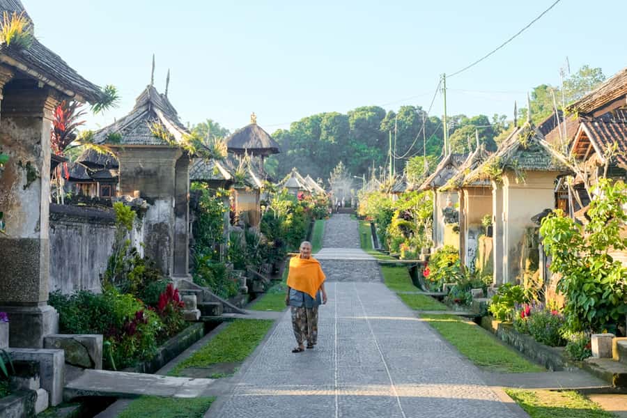 Bali: Full-Day Trip to Penglipuran Village and Bamboo Forest - Why this eight-hour Bali outing works