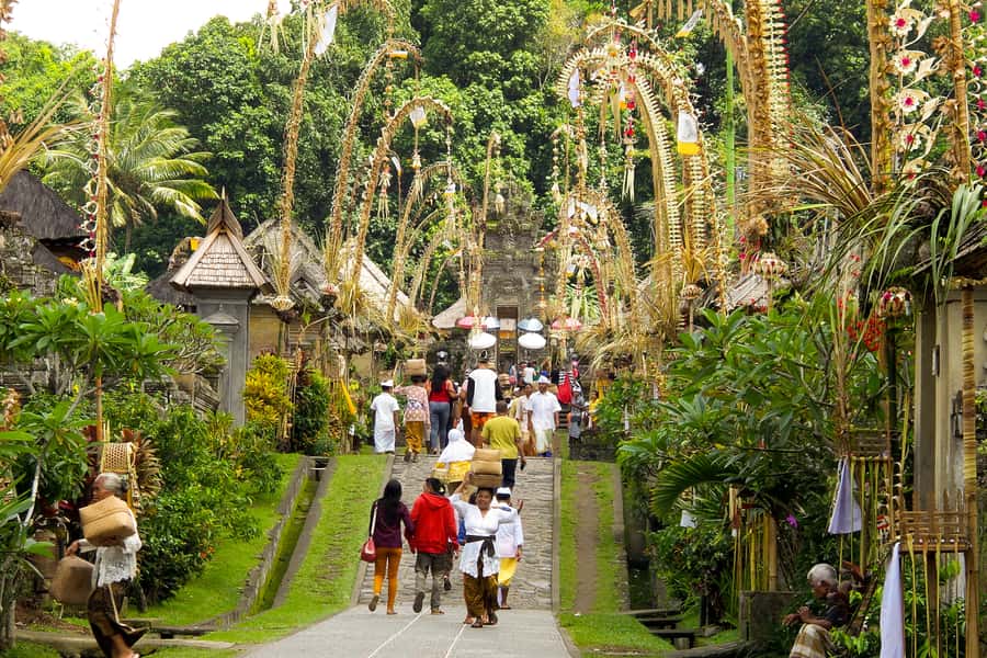 Bali: Full-Day Trip to Penglipuran Village and Bamboo Forest - Walking through the bamboo forest