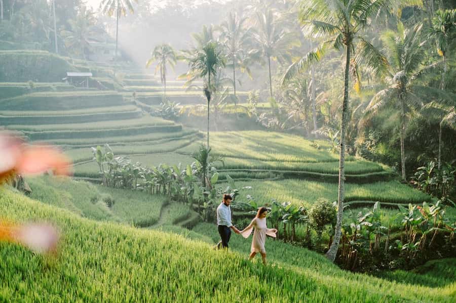 Bali: Full-Day Trip to Penglipuran Village and Bamboo Forest - Tegallalang rice terrace near Ubud