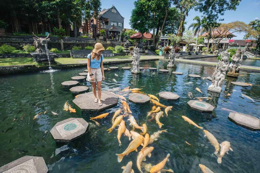 Bali: Gate Of Heaven and Water Palace Tirta Gangga Package - Tirta Gangga’s fountains and stone paths