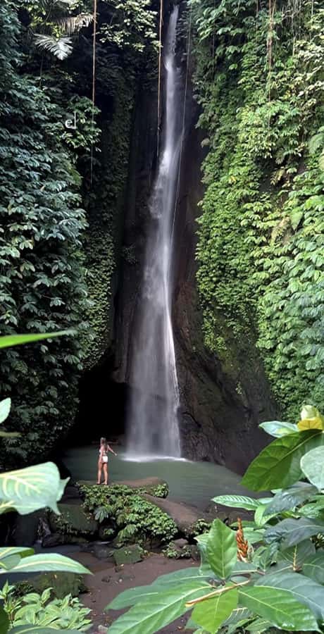 Bali: Green and Heritage West Trip Private Tour, Luxury Car - Who will like this tour most