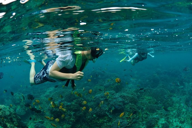 Bali Hai - Aristocat Sailing Cruise - Snorkeling, banana boats, and the coral viewer