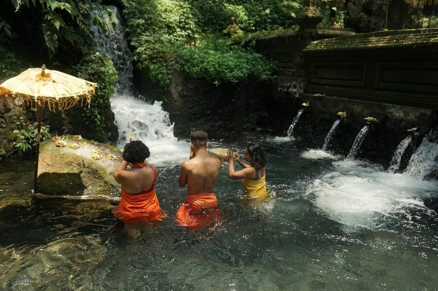 Bali: Healing Immersion Ubud Balinese Wellness + Lunch - Booking and Cancellation Details to Keep in Mind