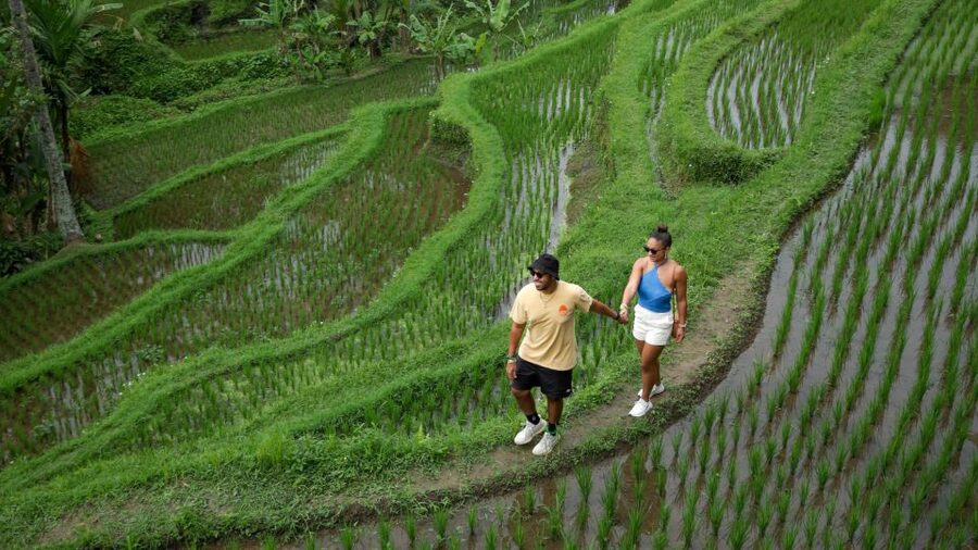 Bali: Heaven Swing, Beratan temple, Rice Terrace - Heaven Swing starts the day with a photo-friendly jolt