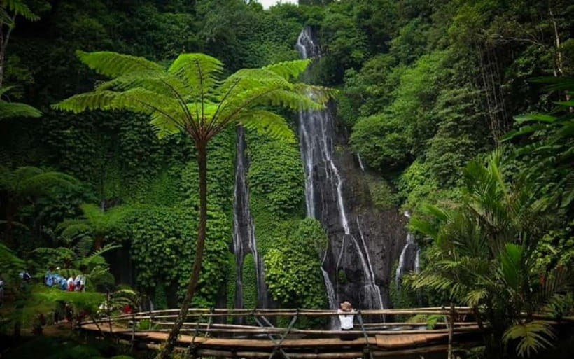 Bali: Highlight Full Day Private Tour - East Bali: gates, gardens, and royal water palaces