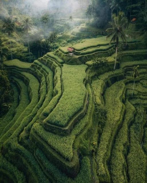 Bali : Highlight of Ubud Culture, Temple and Batur Volcano - Ulu Petanu Waterfall and a final change of pace