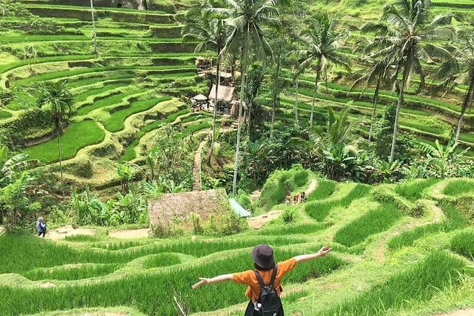 Bali Highlight Private Packages Tours 3 Days - Why this private format works well in Bali