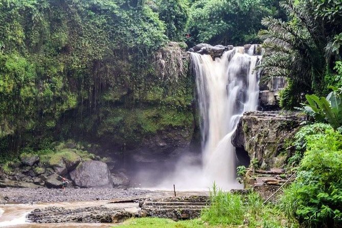 Bali Highlight Tours - What the $45 price really covers