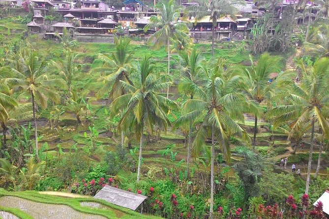Bali Hindu temple, Rice terrace, Waterfall -All Inclusive - Pickup from Tanjung Benoa, the port, and southern Bali
