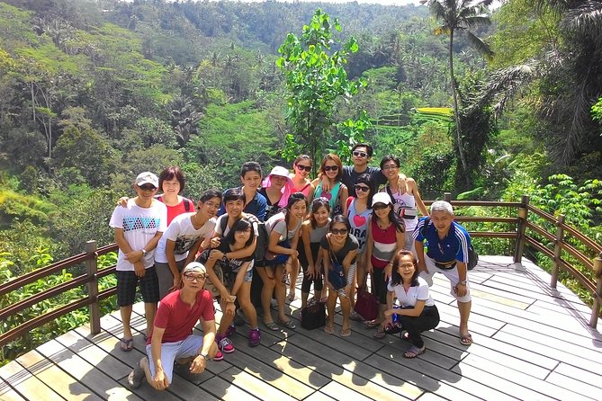 Bali Hindu temple, Rice terrace, Waterfall -All Inclusive - Tegalalang Rice Terrace and the working countryside