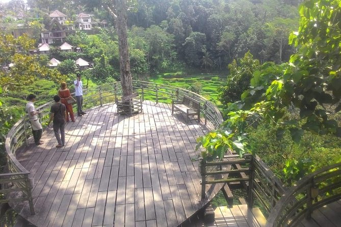 Bali Hindu temple, Rice terrace, Waterfall -All Inclusive - Tegenungan Waterfall and time in the water