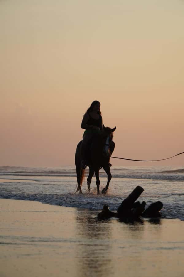 Bali: Horse Riding Beach Experience with Optional Transport - What this Bali horse ride is really about