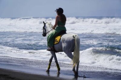 Horse Riding Beach Experience with Optional Transport