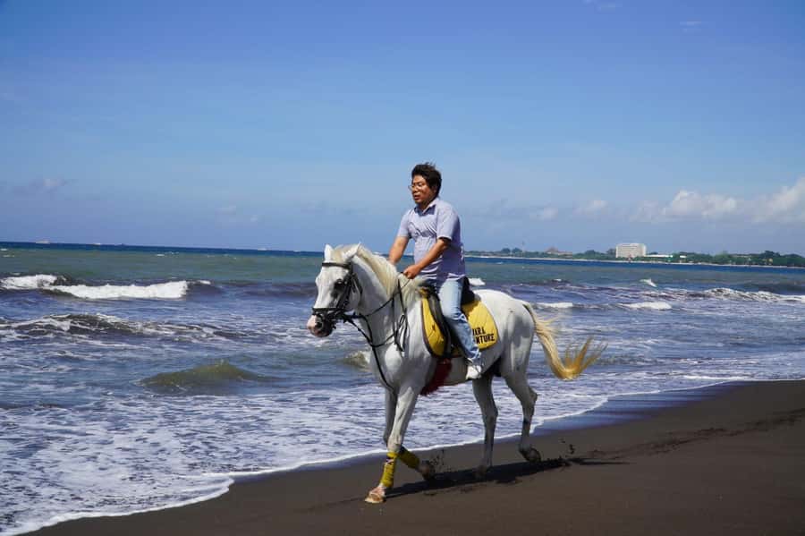 Bali: Horse Riding Beach Experience with Optional Transport - Cancellation and booking flexibility