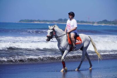 Horse Riding Experience in Sanur (1 Hour ride)