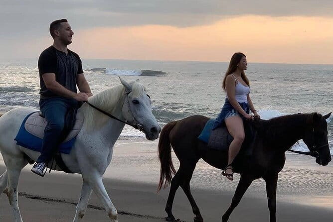 Bali Horse Riding Seminyak Beach Experience Private Transport - A Quiet Ride Along Seminyak Beach