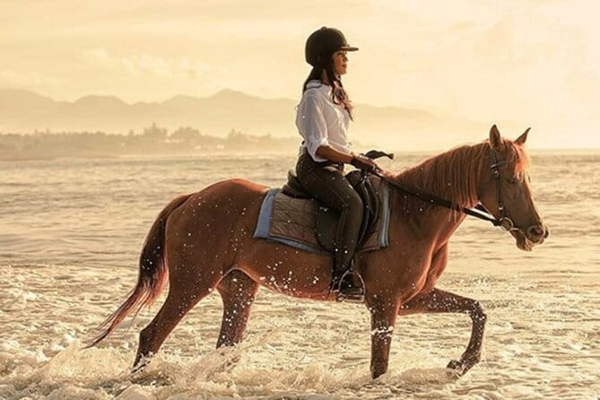 Bali Horse Riding, Waterfall, Rice Terrace, Lunch - All Inclusive - Key details to know before booking