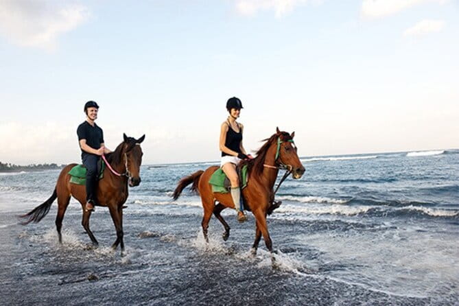 Bali Horse Riding, Waterfall, Rice Terrace, Lunch - All Inclusive - Why Saba Bay is the right place to start