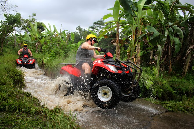 Bali Instagram Private Tour (All-Inclusive) - Coffee, lunch, and the jungle swing at Uma Pakel