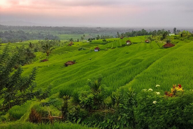 Bali Instagram Tour - Lempuyang Bali Gate of Heaven - Should you book the Lempuyang Bali Gate of Heaven tour?