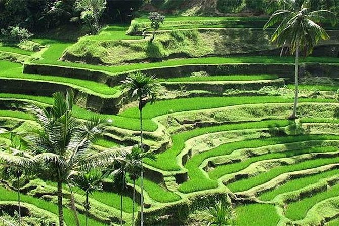 Bali Instagram Tour : The Most Popular Spots In Bali - The guide makes or breaks the day