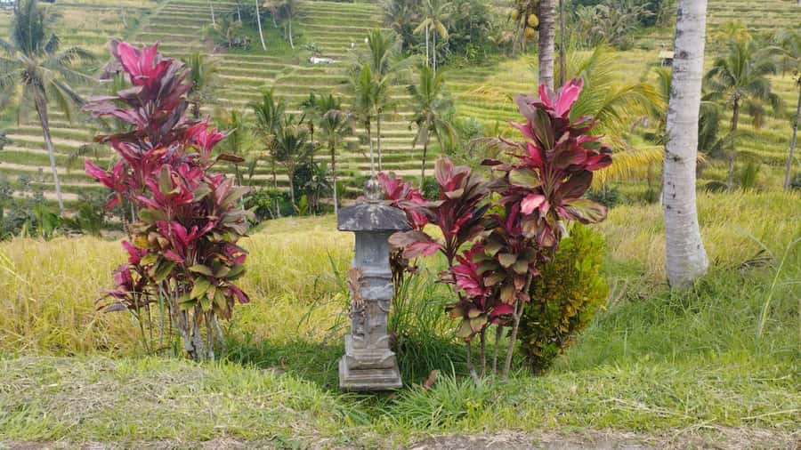 Bali: Jatiluwih Full-Day E-Bike and Trekking Tour - Starting at Pura Luhur Batukaru