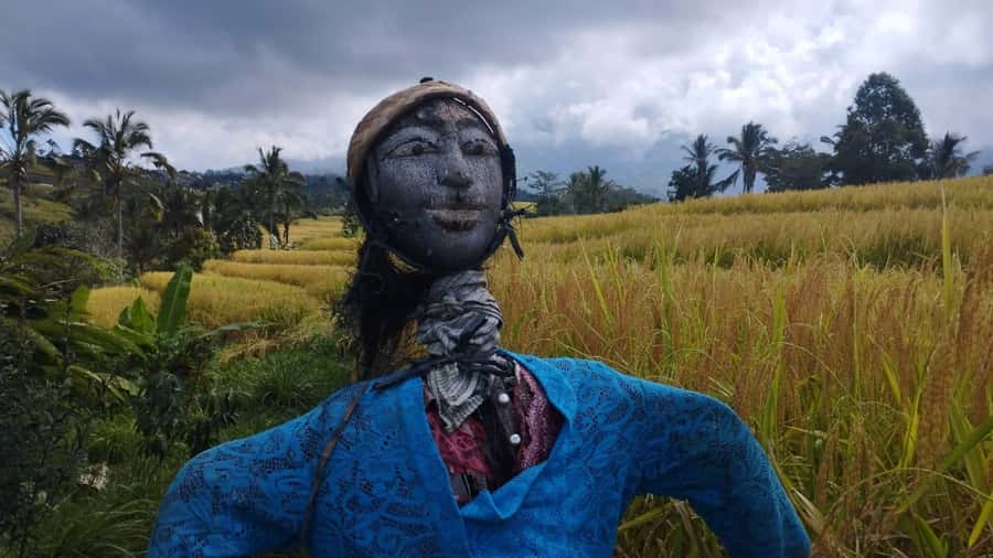 Bali: Jatiluwih Full-Day E-Bike and Trekking Tour - Arriving at the Jatiluwih rice terraces