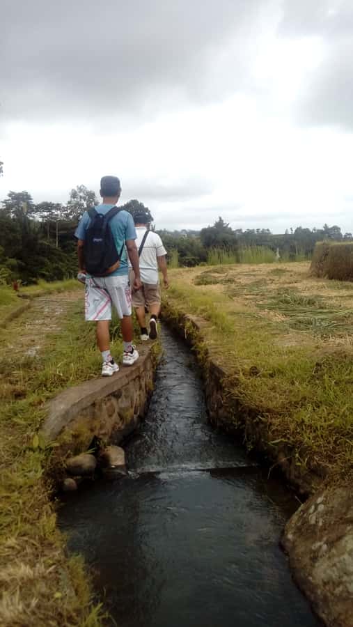 Bali: Jatiluwih Full-Day E-Bike and Trekking Tour - The 2.5-hour trek beyond the main paths
