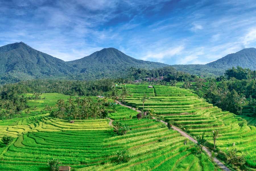 Bali: Jatiluwih Full-Day E-Bike and Trekking Tour - Two hours through jungle, bamboo, and villages