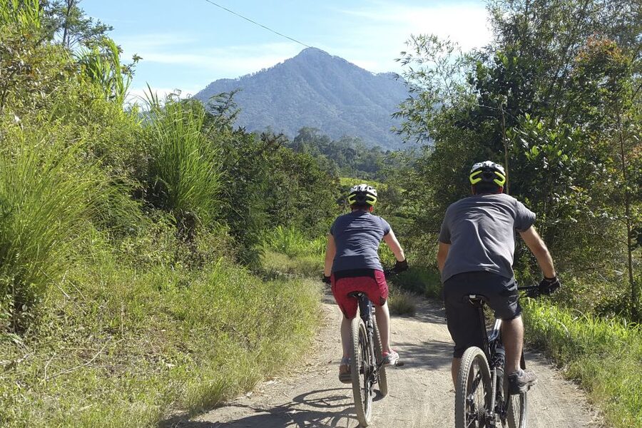 Bali: Jatiluwih Rice Terraces 1 Hour Electric Bike Tour - Booking flexibility and practical limits