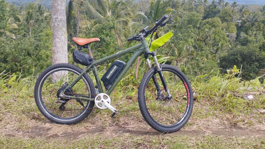 Bali: Jatiluwih Rice Terraces 1 Hour Electric Bike Tour - Why Jatiluwih is worth seeing by bicycle