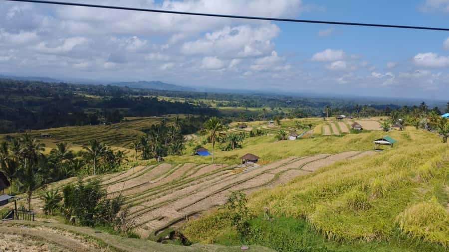 Bali: Jatiluwih Rice Terraces 1 Hour Electric Bike Tour - Bamboo forests, villages, and everyday Bali