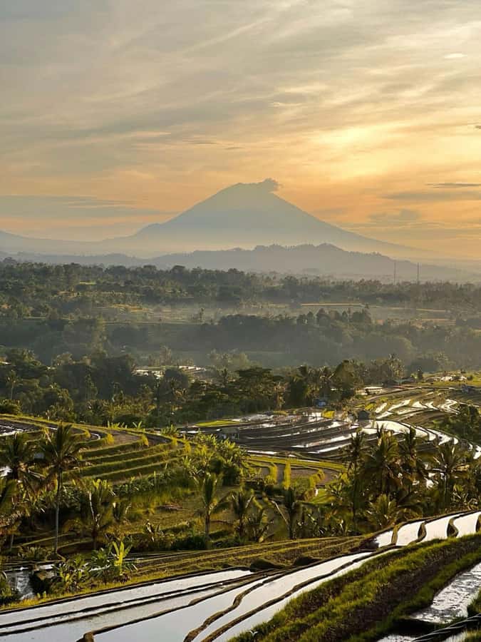 Bali: Jatiluwih UNESCO, Bratan Lake, Iconic Gate & Tanah Lot - Ulun Danu Beratan and the cool highlands