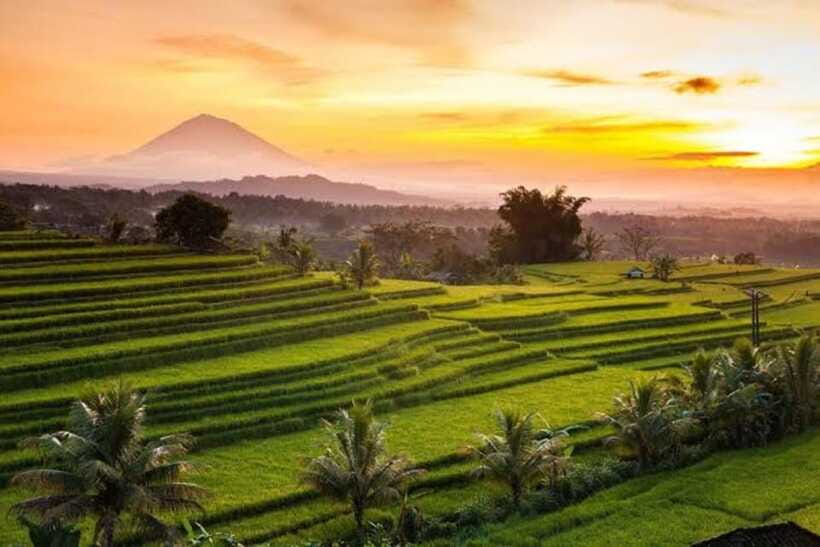 Bali: Jatiluwih UNESCO, Bratan Lake, Iconic Gate & Tanah Lot - Tanah Lot: a strong coastal finale