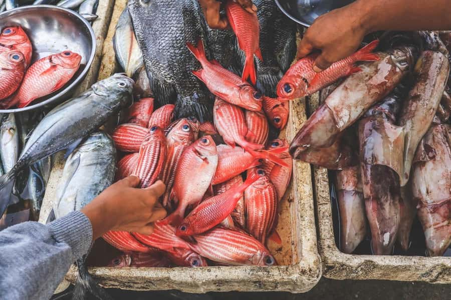 Bali: Jimbaran Seafood Market Tour with Sunset Dinner - Meeting fishermen and choosing the catch