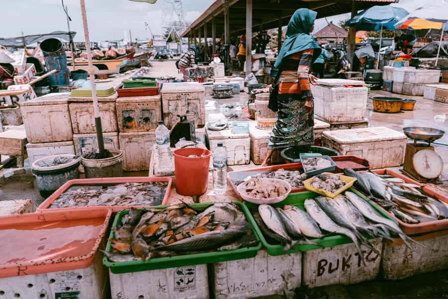 Bali: Jimbaran Seafood Market Tour with Sunset Dinner - What the guide adds to the evening