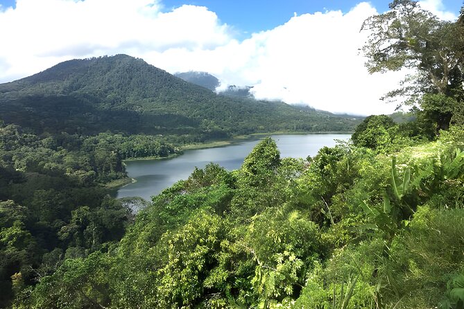 Bali Jungle Trekking in Beautiful Rainforest - Walking the rainforest near Tamblingan Lake