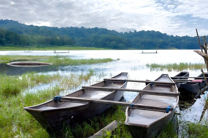 Bali Jungle Trekking in Beautiful Rainforest - What is included for the $80 price