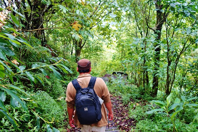 Bali Jungle Trekking in Beautiful Rainforest - Who will get the most from this day