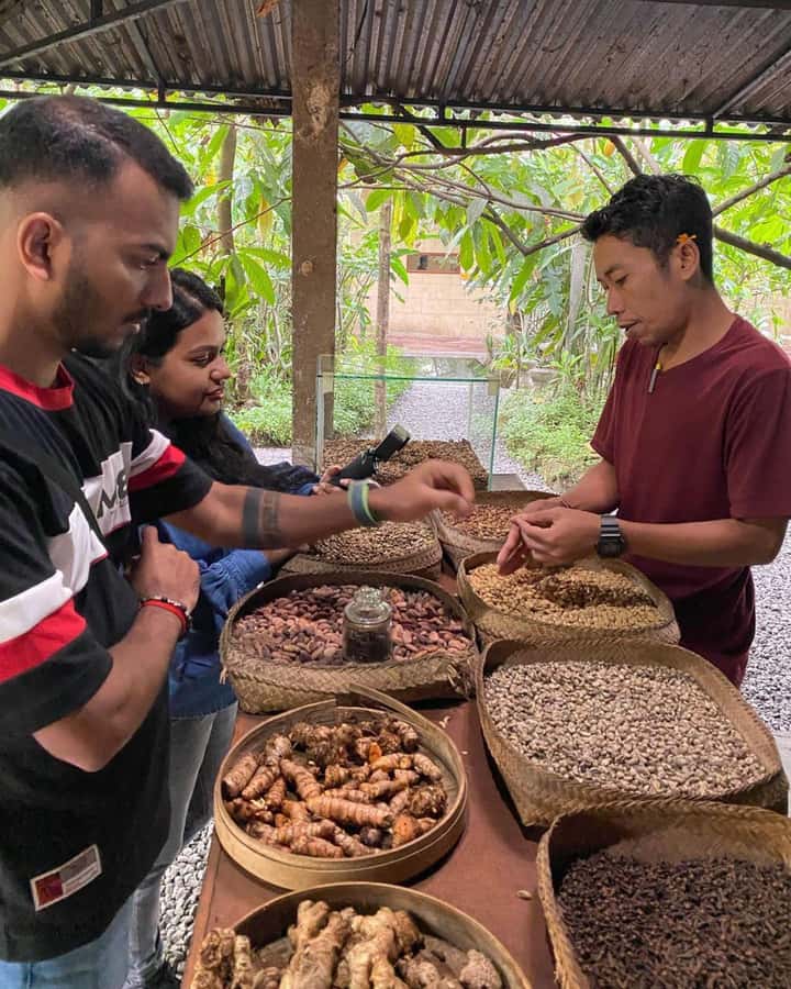 Bali: Kintamani Cafe, Waterfall, Temple and Cretya Ubud Tour - Ulu Petanu Waterfall and the practical side of getting wet