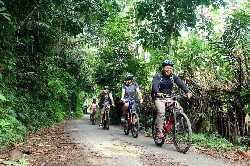 Bali: Kintamani Downhill Bike Tour, Jungle and Waterfalls - Why this Kintamani ride feels different from a standard Bali outing