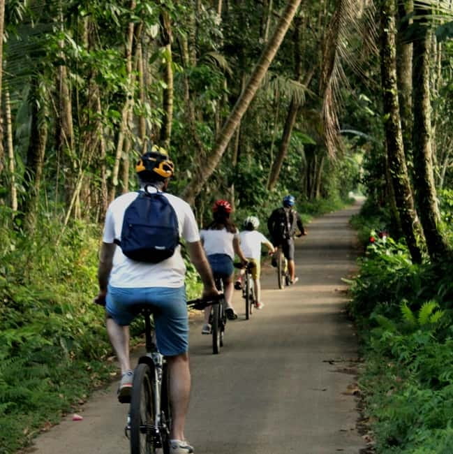 Bali: Kintamani Downhill Bike Tour, Jungle and Waterfalls - Coffee, herbal tea and the first taste of village life