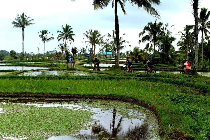 Bali: Kintamani Downhill Bike Tour, Jungle and Waterfalls - Taro Village and the included Balinese lunch